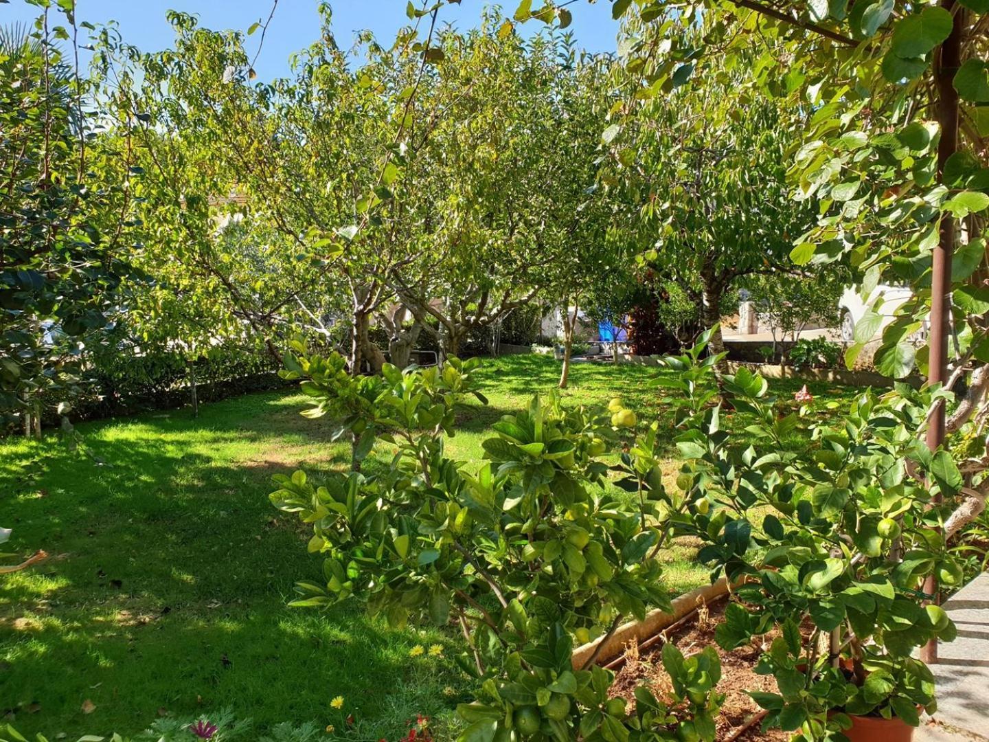 Čižići Apartments Nevenka K. מראה חיצוני תמונה
