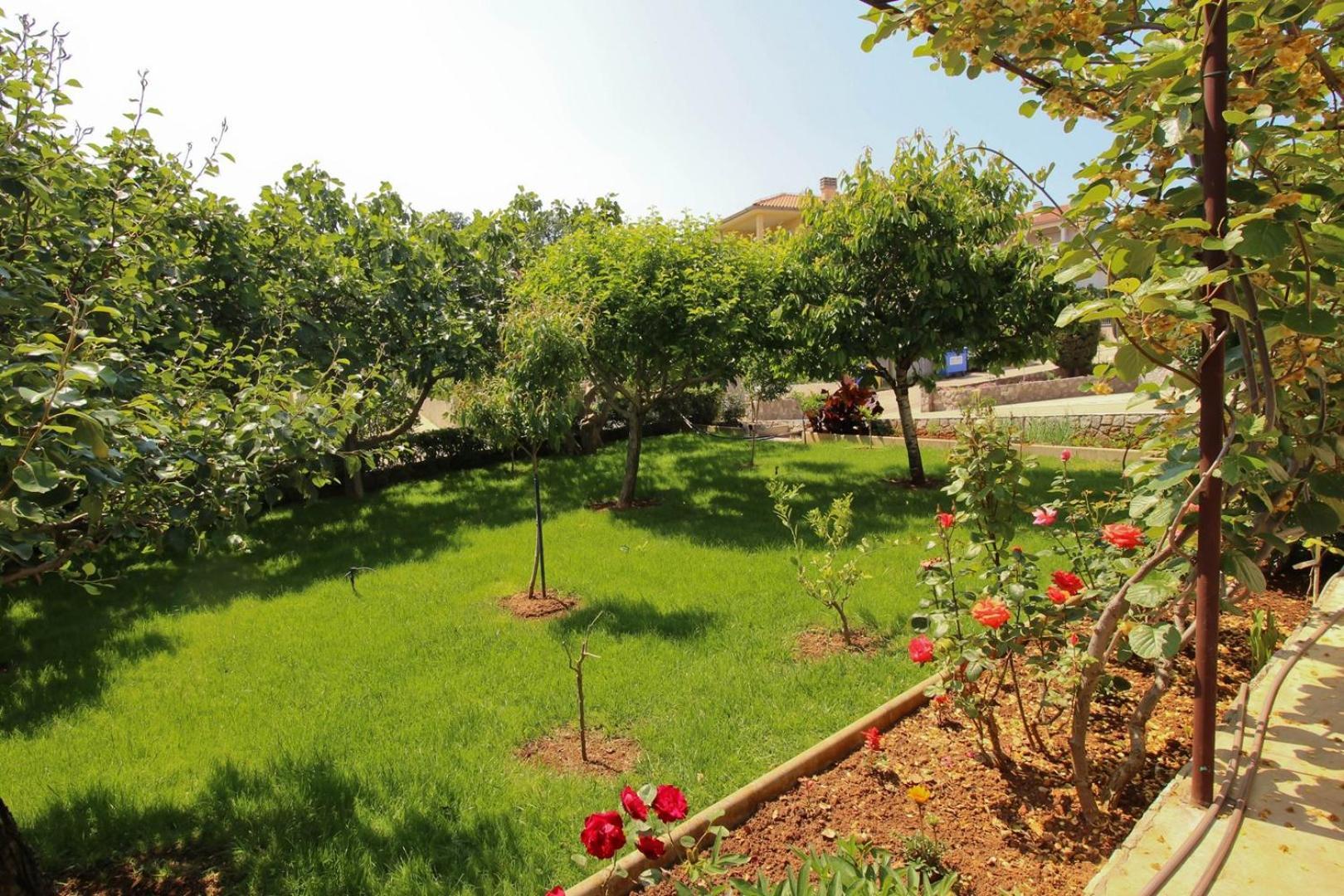 Čižići Apartments Nevenka K. מראה חיצוני תמונה