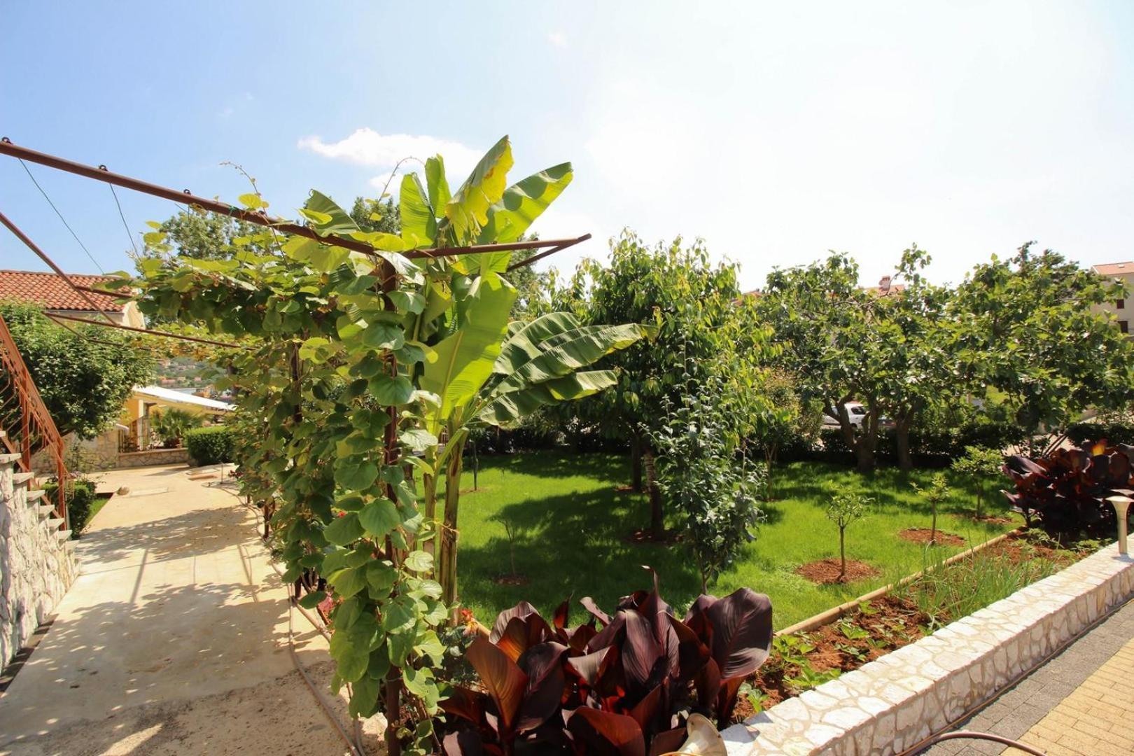 Čižići Apartments Nevenka K. מראה חיצוני תמונה